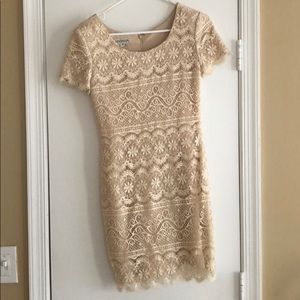 Cream Lace Ann Taylor Dress